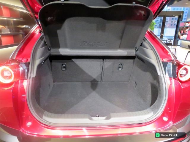 Trunk