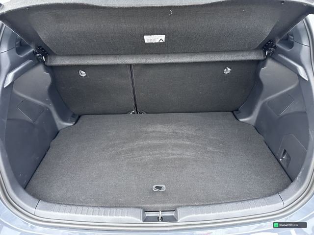 Trunk
